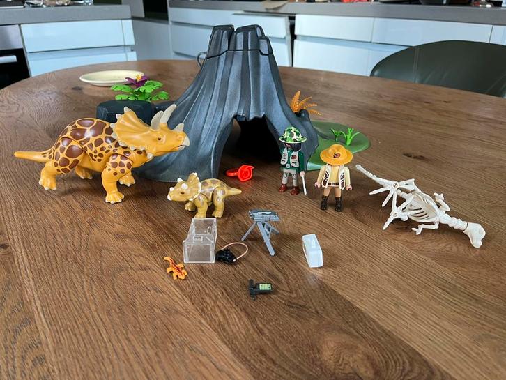Playmobil dinosaurus set 4170 4171 4172 4173 en 4175, Kinderen en Baby's, Speelgoed | Playmobil, Gebruikt, Ophalen