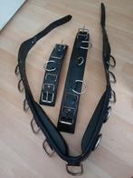 Longeersingel leder Full, Dieren en Toebehoren, Ophalen