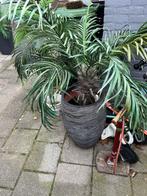 3 mooie kunst palmen.bomen met pot, Ophalen of Verzenden, Gebruikt