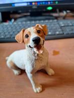JACK RUSSELL  Castagna beeldje., Verzamelen, Beelden en Beeldjes, Ophalen of Verzenden, Nieuw, Dier