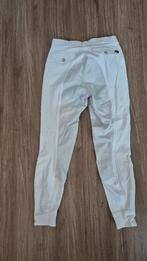 Witte rijbroek met zitvlak Eurostar, Dieren en Toebehoren, Gebruikt, Dressuur, Dames, Onderkleding