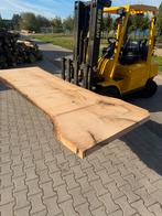 Zeer groot eiken boomstamblad 350x102x8cm