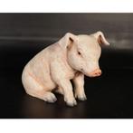 Varken 38 cm - biggetje beeld, Ophalen, Nieuw