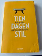 Tien Dagen Stil - Koen de Jong - Meditatieboek, Boeken, Esoterie en Spiritualiteit, Ophalen of Verzenden, Gelezen, Meditatie of Yoga