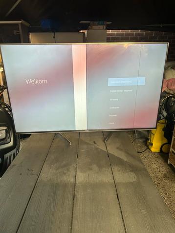 Sony Tv Werkt maar streep op scherm Nette staat beschikbaar voor biedingen