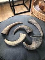 Set van 5 hoorns, Ophalen of Verzenden, Gebruikt, Paard, Beeldje of Figuurtje