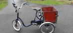Roam elektrische driewieler fiets, Fietsen en Brommers, Gebruikt, Roam, Ophalen