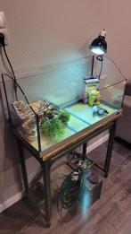 Aquarium Ferplast/Jamaica 80/Alle toebehoren/80x36x41cm/120L, Ophalen, Zo goed als nieuw, Leeg aquarium