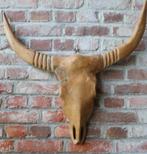 Wanddecoratie Deco skull Jesse hout skelet stier horens bull, Ophalen, Nieuw
