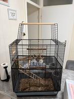 Vogelkooi, Ophalen of Verzenden, Kooi-accessoires
