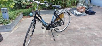 Batavus Adagio 7 speed, frame 53, met stuurmand beschikbaar voor biedingen