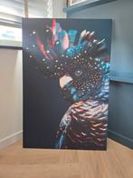 Kaketoe poster op dibond met ophangsysteem 60x90.5, Ophalen, 50 tot 75 cm, Nieuw, Foto of Poster