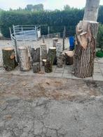 Spijkerblok ,boomstam,spijkerslaan,pilaar, Tuin en Terras, Haardhout, Ophalen of Verzenden, Overige houtsoorten, Blokken