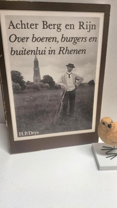 Deys, H.P; Achter Berg en Rijn (Rhenen), Boeken, Geschiedenis | Stad en Regio, Gelezen, 20e eeuw of later, Ophalen of Verzenden