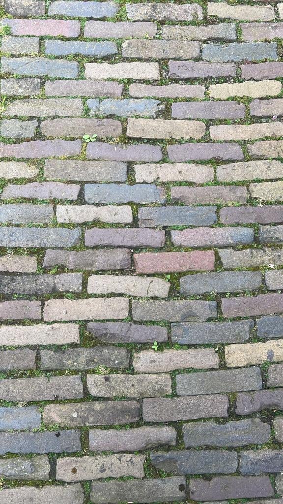 Gratis af te halen: klinkers (ongeveer 15 m2), Ophalen, Gebruikt, Klinkers, 10 m² of meer