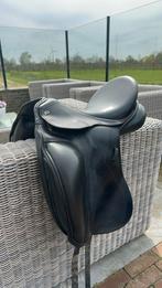 Kentaur Elektra 17 inch, Ophalen of Verzenden, Dressuur