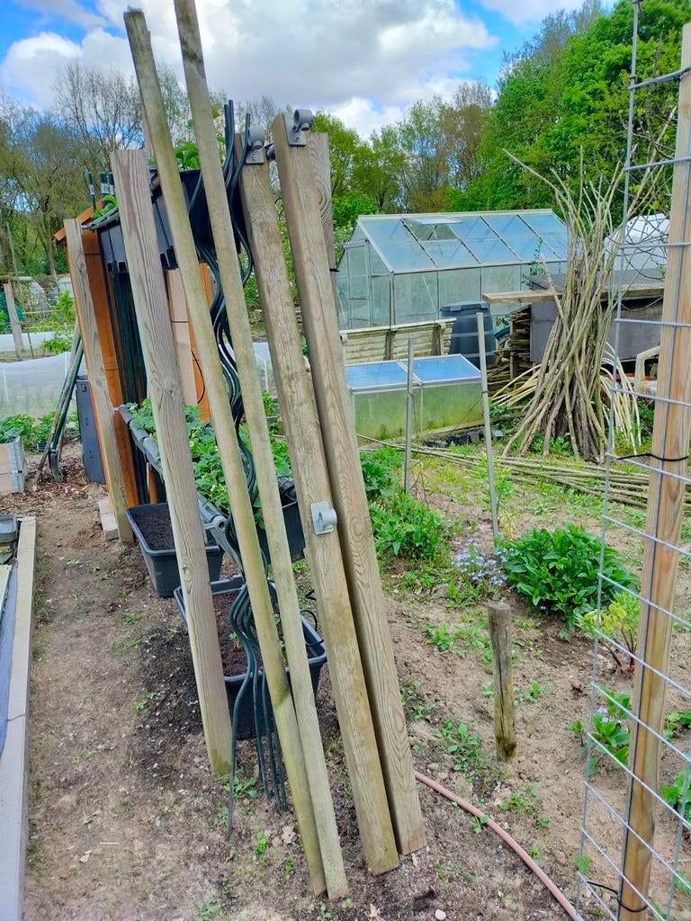 houten balken, Tuin en Terras, Ophalen, 250 cm of meer, Balken