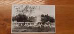 Rhenen  ouwerhands dierenpark, Verzamelen, Ansichtkaarten | Nederland, Ophalen of Verzenden, 1940 tot 1960, Gelopen, Gelderland