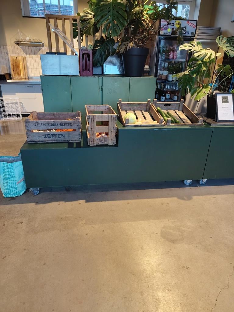 2x Verrijdbare Groene Plantenbakken, Tuin en Terras, Gebruikt, 100 cm of meer, Ophalen of Verzenden, Rechthoekig