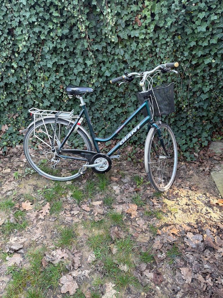 Giant damesfiets met versnellingen en mandje, Ophalen, Gebruikt, Versnellingen, Giant