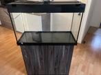 Juwel aquarium met kast, filter, pomp en accessoires, Ophalen, Gebruikt, Leeg aquarium