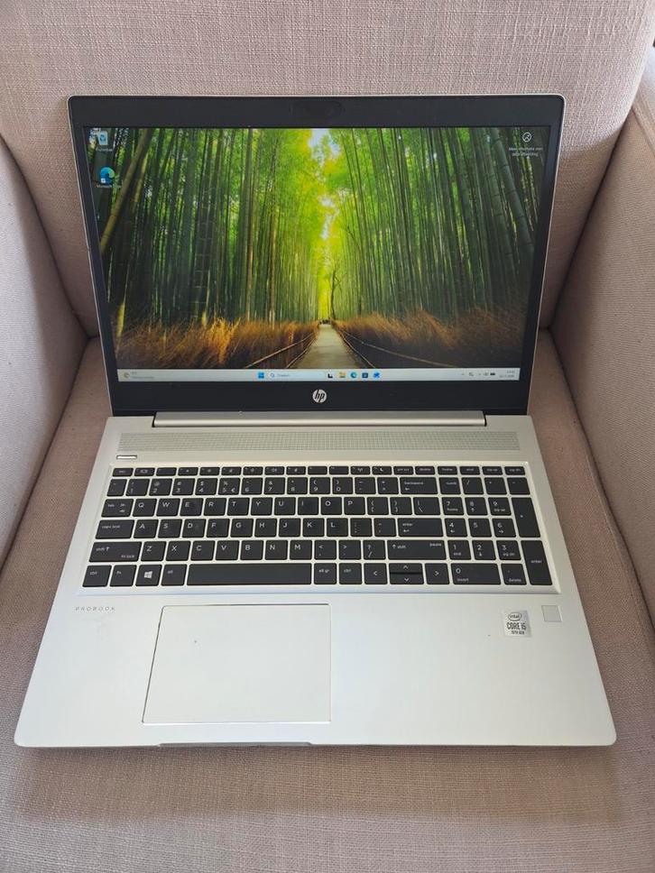 HP ProBook 450 G7 i5 10e Gen 15,6" 16GB 256SSD Windows 11, Computers en Software, Windows Laptops, Zo goed als nieuw, 15 inch