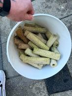 Bacteriën staven, Ophalen, Filter of Co2