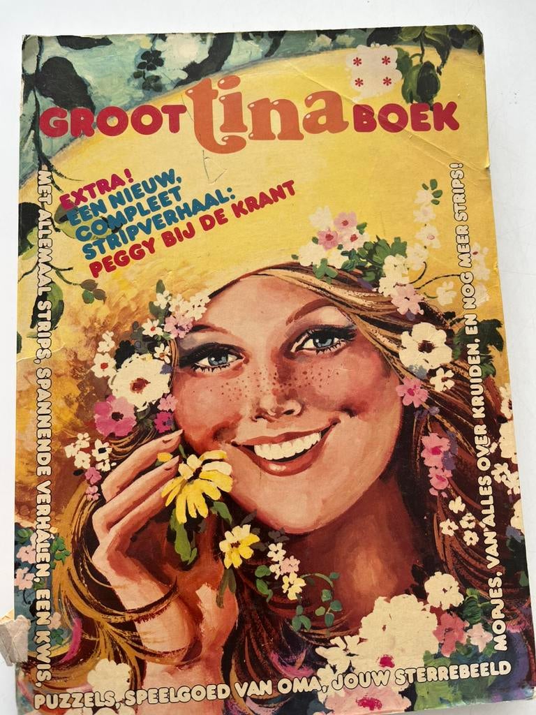 Groot Tina boek strips zwart/wit, Boeken, Stripboeken, Eén stripboek, Ophalen of Verzenden, Gelezen