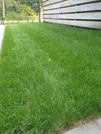 Verse Graszoden vrijdag of zaterdag as af te halen, Ophalen, Nieuw, 10 tot 20 m², Tuincentrum en kwekerij de Triemen