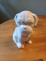 Bloempot hondje, Gebruikt, Ophalen of Verzenden, Balkon, Overige vormen