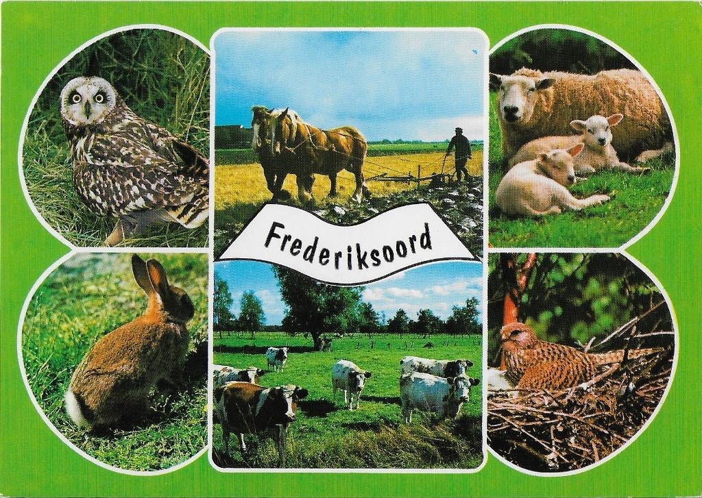 F13 Ongelopen ansichtkaart frederiksoord, Ophalen of Verzenden, 1980 tot heden, Gelopen