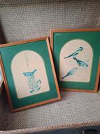 Twee oude schoolplaten in houten lijst, Ophalen, Natuur en Biologie