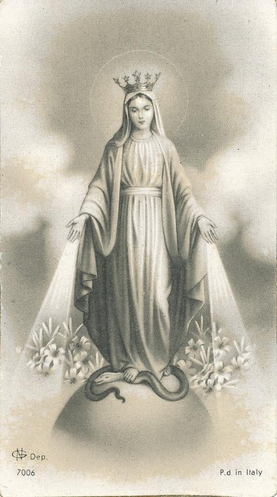 Devotieprentje van slangen Madonna, Ophalen of Verzenden, Zo goed als nieuw, Kaart of Prent, Christendom | Katholiek