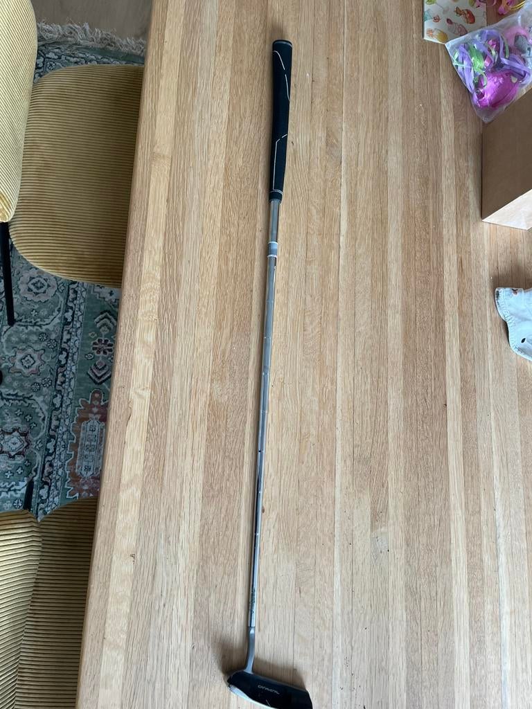 Putter Inesis, Sport en Fitness, Golf, Ophalen of Verzenden, Gebruikt, Club
