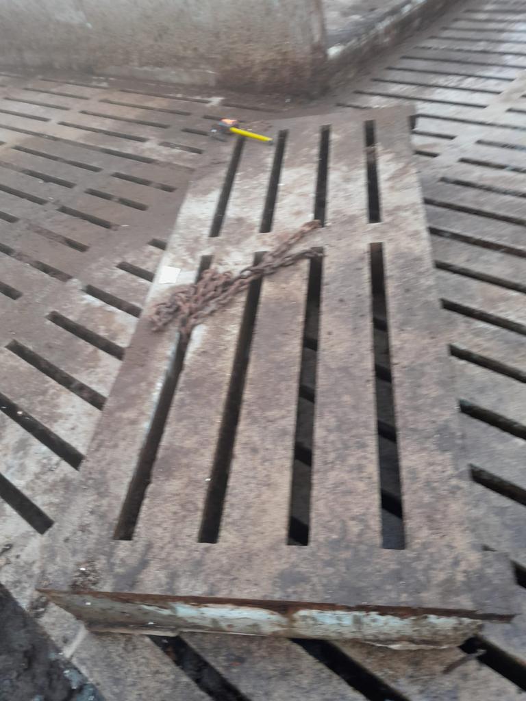 Extra dikke betonnen stalroosters / erfverharding