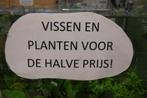 Vissen en planten halve prijs in Assen, Vis, Zoetwatervis