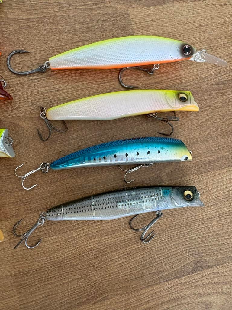 4 Zeebaarspluggen: Megabass, Daiwa, Tackle House set, Watersport en Boten, Hengelsport | Roofvissen, Ophalen of Verzenden, Gebruikt