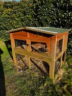 Koniijnen of Cavia hok, 110 cm of meer, Hok, Cavia, Ophalen