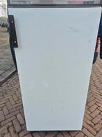 Liebherr vrieskast met 7 lades (Bezorging mogelijk), Vrieskast, Minder dan 60 cm, Zo goed als nieuw, Vrijstaand