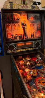 The Addams Family Flipperkast - Bally - Nette staat, Gebruikt, Bally, Ophalen of Verzenden, Dot-matrix