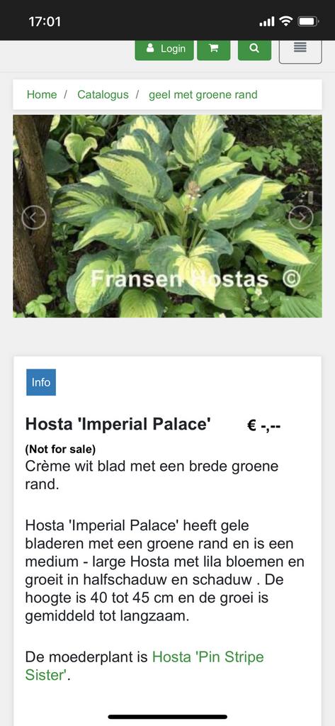 Hosta Imperial Palace ( 1 stuks), Eén persoon, Kortingskaart