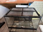 Exo Terra Glas Terrarium 60x45x60 met barst in bodem, Ophalen, Gebruikt, Terrarium of Paludarium