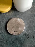 Maple Leaf volle tube, Postzegels en Munten, Edelmetalen en Baren, Ophalen, Zilver