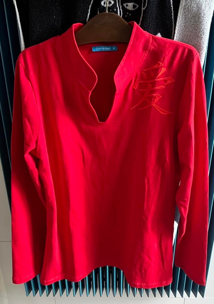 Lien en Giel shirt XL, Maat 46/48 (XL) of groter, Ophalen of Verzenden, Zo goed als nieuw, Lange mouw