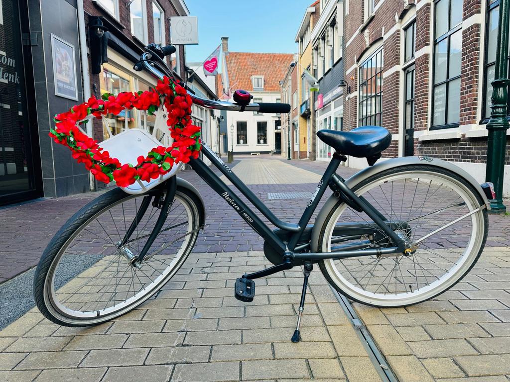 Alpina Mood 26 inch meisjesfiets, Fietsen en Brommers, Fietsen | Meisjes, Ophalen, Zo goed als nieuw, 26 inch of meer, Versnellingen