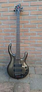 Ibanez Ergodyne 5-snarige basgitaar, Ophalen of Verzenden, Gebruikt, Elektrisch, 5-snarig
