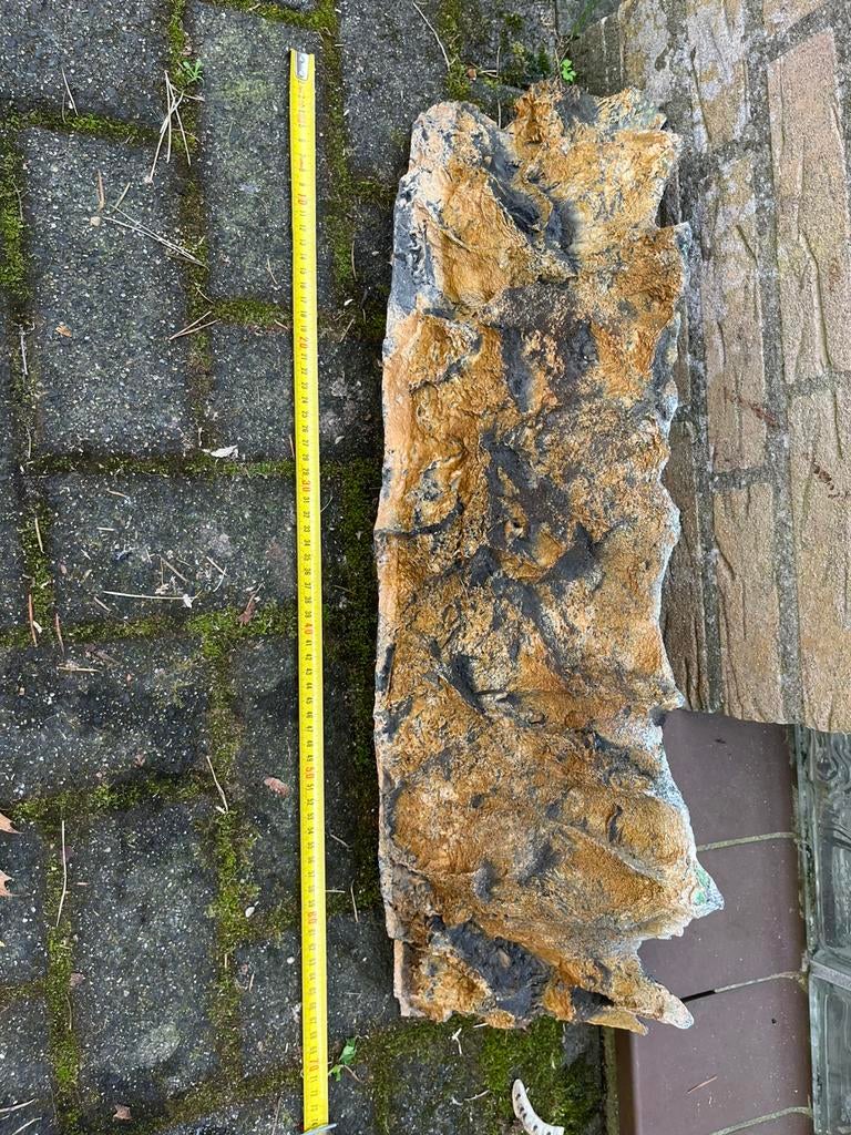 Wand aquarium/terrarium, Dieren en Toebehoren, Vissen | Aquaria en Toebehoren, Ophalen, Zo goed als nieuw, Leeg aquarium