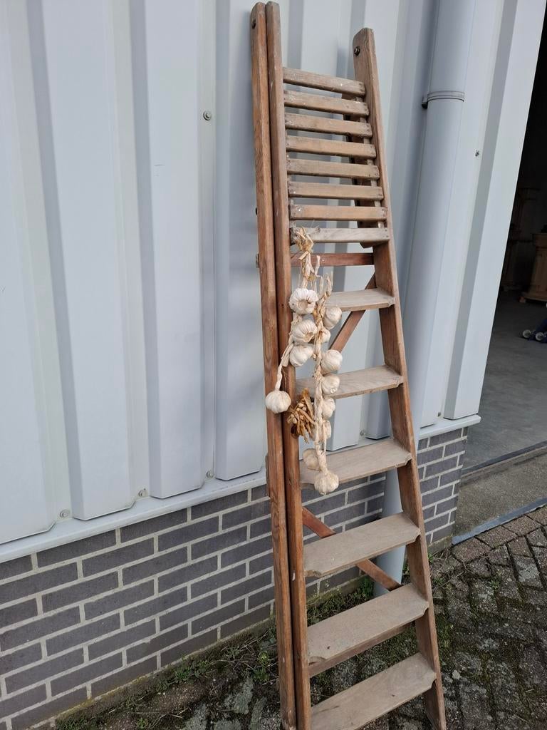 Antieke schilders ladder, Ophalen
