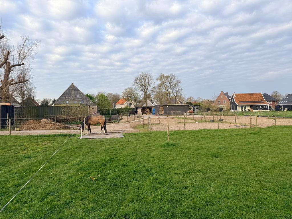 Plek vrij kleinschalige doe-het-zelf stal, Weidegang