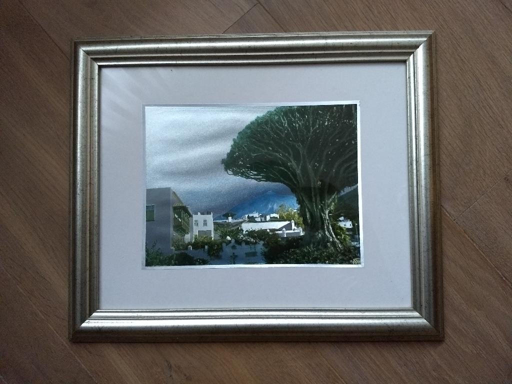 Drakenboom Tenerifa 26 x 29, Ophalen, Zo goed als nieuw